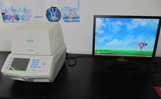 CFX96实时定量PCR仪